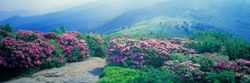 Hills-In-North-Carolina-Mural-Wallpaper