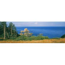 Deep Blue Pacific, Oregon Coast Wall Mural