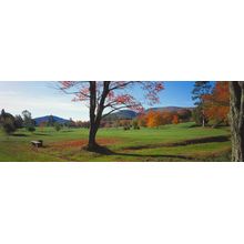 Golf Course in Autumn Wall Mural