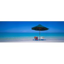 A Day at the Beach Wall Mural
