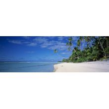 South Pacific Paradise Wall Mural
