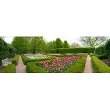 Peaceful Garden Wall Mural