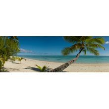 Life is a Beach Wall Mural