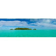 Tropical Horizons Wall Mural