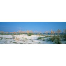 A Beach of My Own Wall Mural