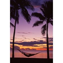 Hammock At Sunset, Denaru Island, Fiji Wall Mural