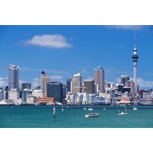Auckland City and Harbour Wall Mural