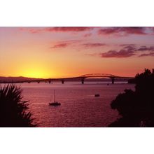 Waitemata Harbour At Sunset Wall Mural