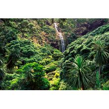 Karekare Waterfall Wall Mural