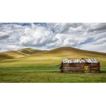 Abandoned Cabin in Mongolia Wall Mural