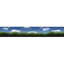 Melba Grass And Clouds Wall Mural