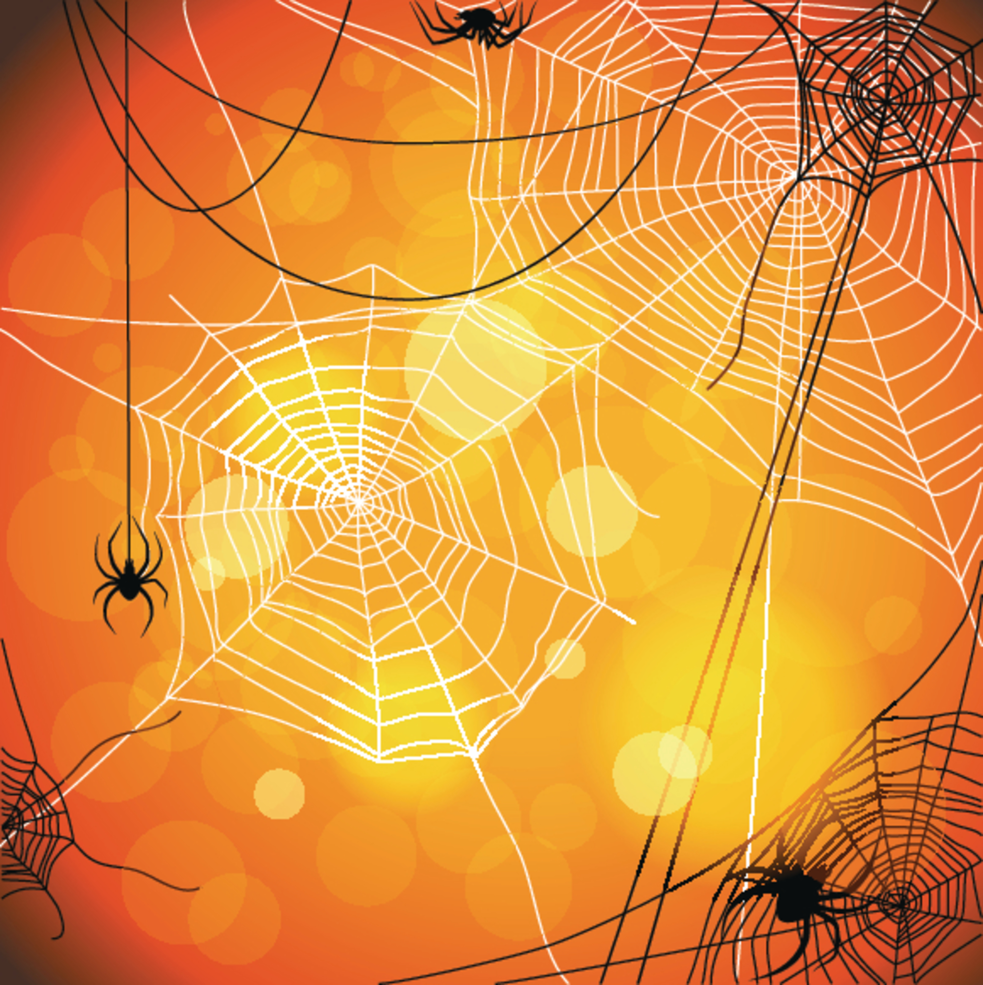Spider Web Background Mural - Murals Your Way