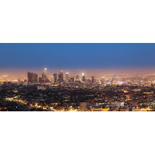 City View Of Los Angeles Wall Mural