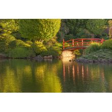 Tranquil Bridge In A Japanese Garden Wall Mural