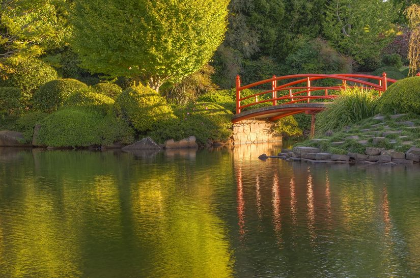 Tranquil-Bridge-In-A-Japanese-Garden-Wall-Mural