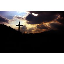 God's Light Wall Mural