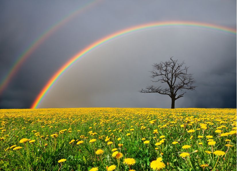 beauty-of-a-double-rainbow-
