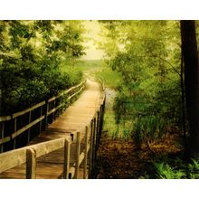 Charms Of The Marsh Wall Mural
