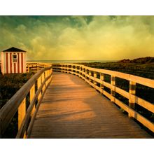 This Way Into Summer Wall Mural