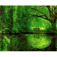Another Green World Wall Mural