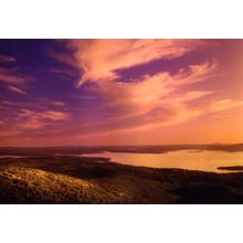 Awakening To Color Wall Mural
