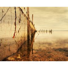 Catcher In The River Wall Mural