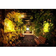 Dream Corridor Wall Mural