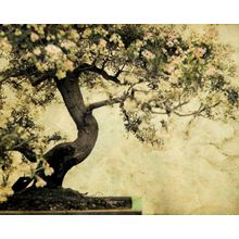 Your Moment Of Zen Wall Mural