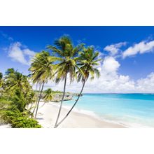 Bottom Bay Barbados Caribbean Wall Mural