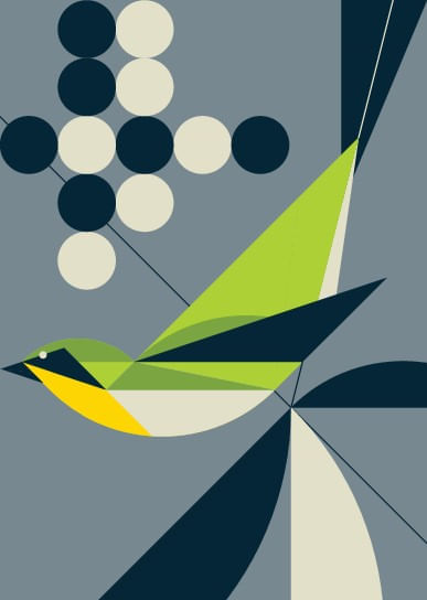 Warbler Bird Geometric Illustration Wall Mural - Murals Your Way