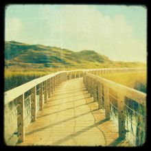 Start Where You Are Wall Mural