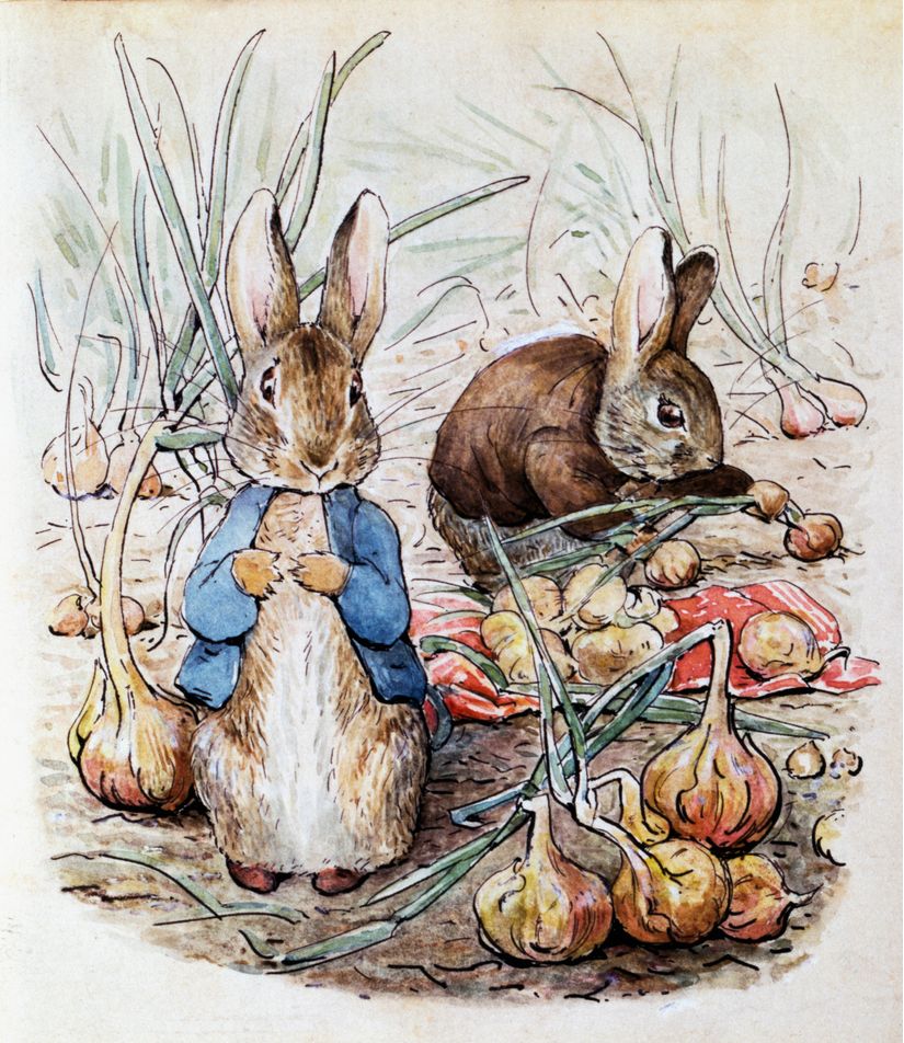 Beatrix Potter Fabric, Wallpaper and Home Decor