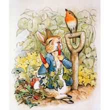 Peter Rabbit Eating Radishes Wall Mural