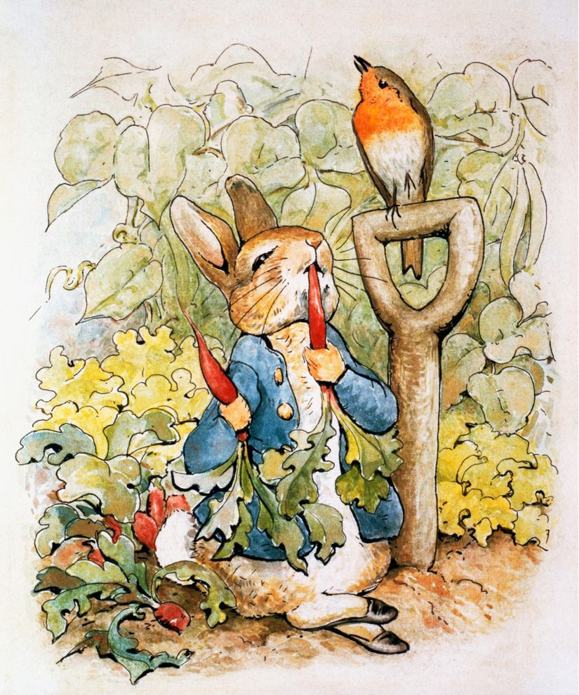Peter Rabbit Eating Radishes Mural By Beatrix Potter Murals Your Way