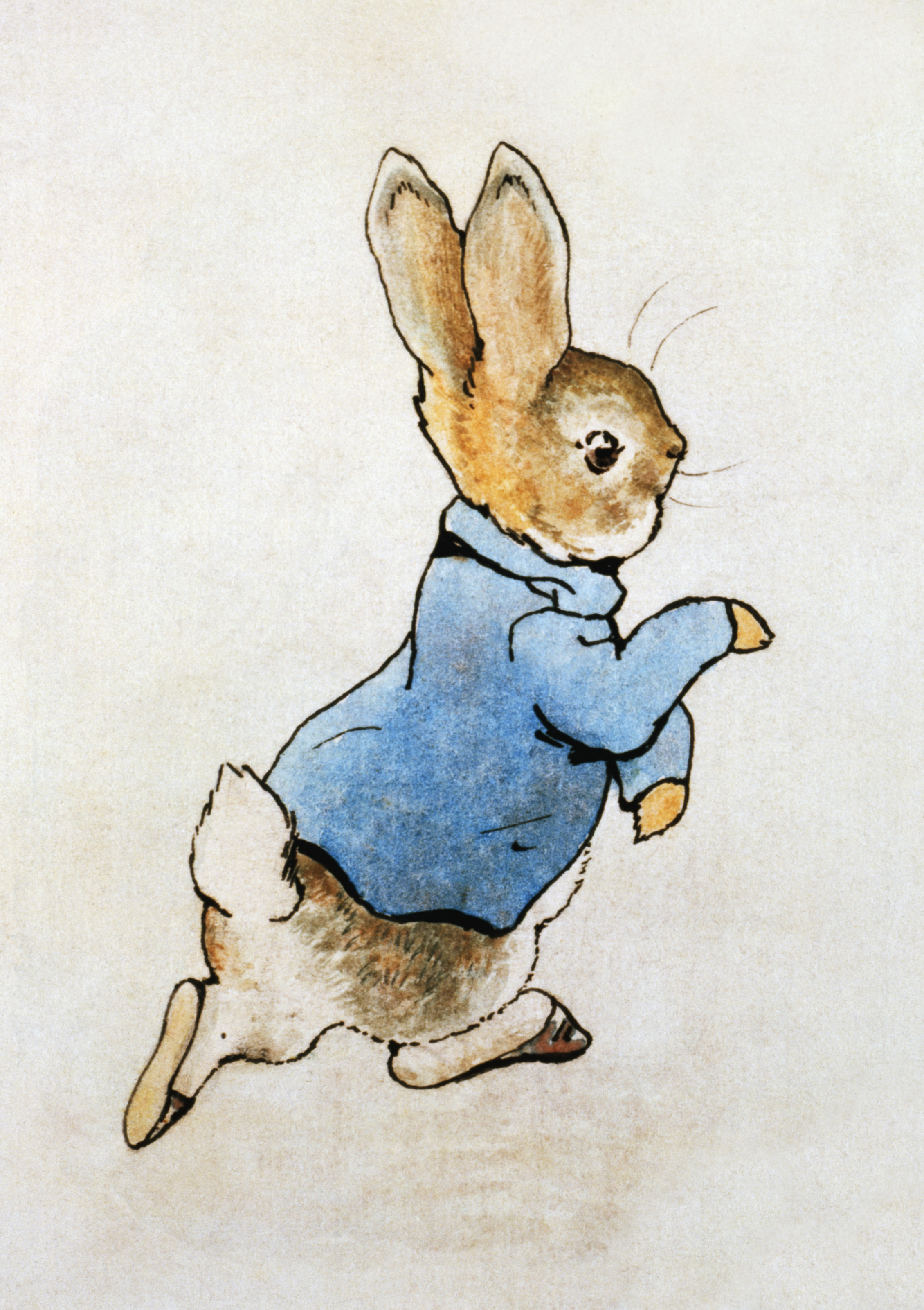 Peter Rabbit Running Mural By Beatrix Potter - Murals Your Way