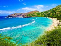 Hawaiian beach mural of a Hanauma Bay with white beaches, turquoise water, coral reefs surrounding by lush green hills