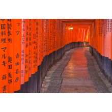 Torii Walkway, Japan Wall Mural