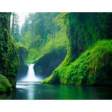 Punchbowl Falls Wall Mural