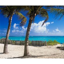 Palm Shaded Beach, Anguilla Wall Mural