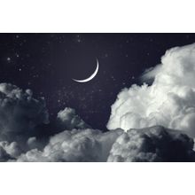 Crescent Moon Wall Mural