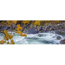 Wenatchee River in Autumn Wall Mural