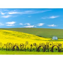 Wheels and Farm Fields Wall Mural