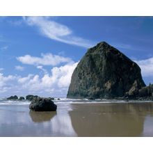 Haystack Rock With Seagulls Wall Mural