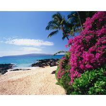 Hidden Cove, South Maui Coast Wall Mural