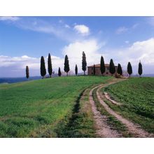 Farm House In Tuscan Countryside Wallpaper Mural
