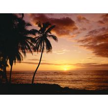 Hawaiian Sunset Wall Mural