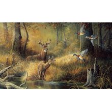 October Memories Wall Mural