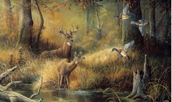 October-Memories-Wallpaper-Mural