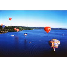 Balloons In Flight Wall Mural
