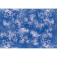 Whispy Clouds Wall Mural